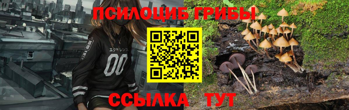 Таганрог  Галлюциногенные грибы MAGIC MUSHROOMS  Вход с VPN 